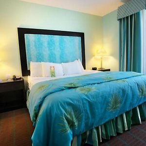 One-Bedroom Suite